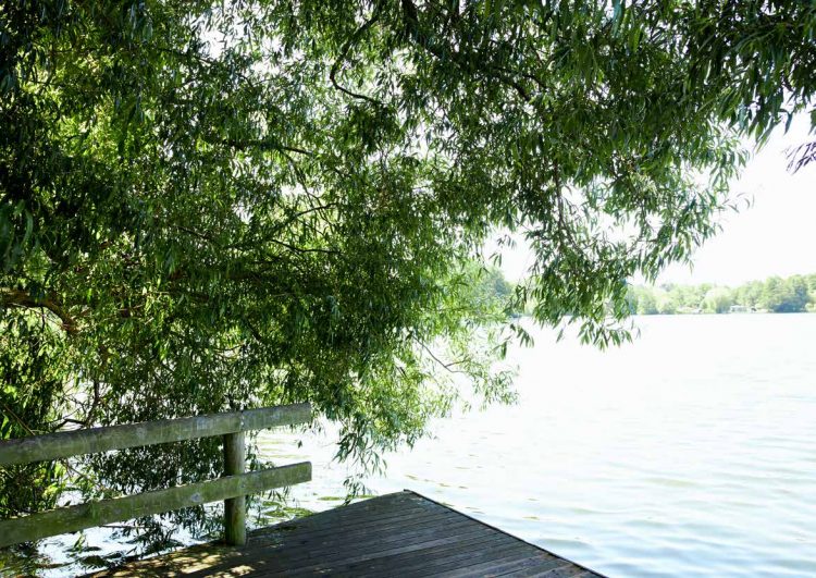 BELLA BALLOU 2021SSコレクションルック画像