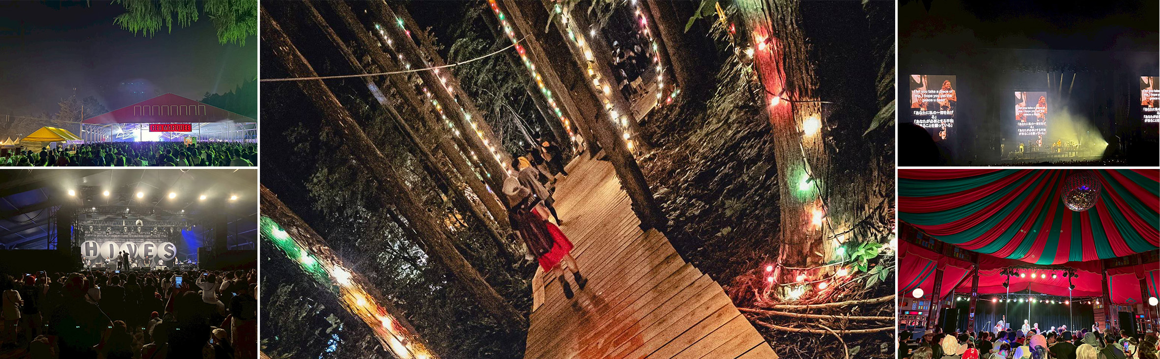 ペラクスパンツを着用した夏フェスの夜コーデ