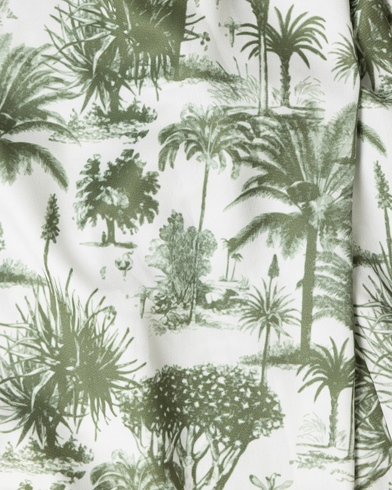植物画