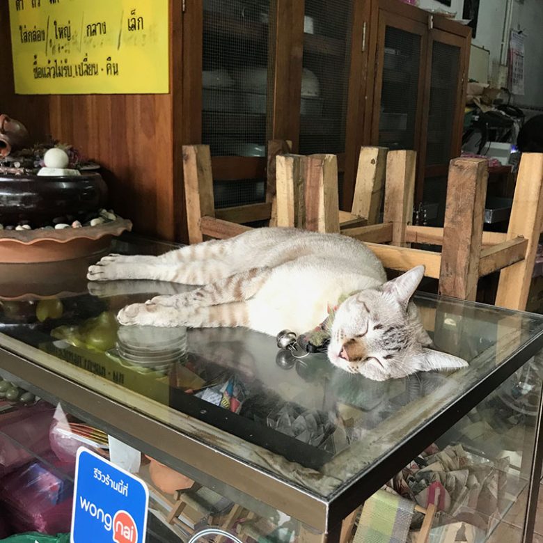 バレエシューズの通販ならファルファーレ - クロシェオンラインショップ