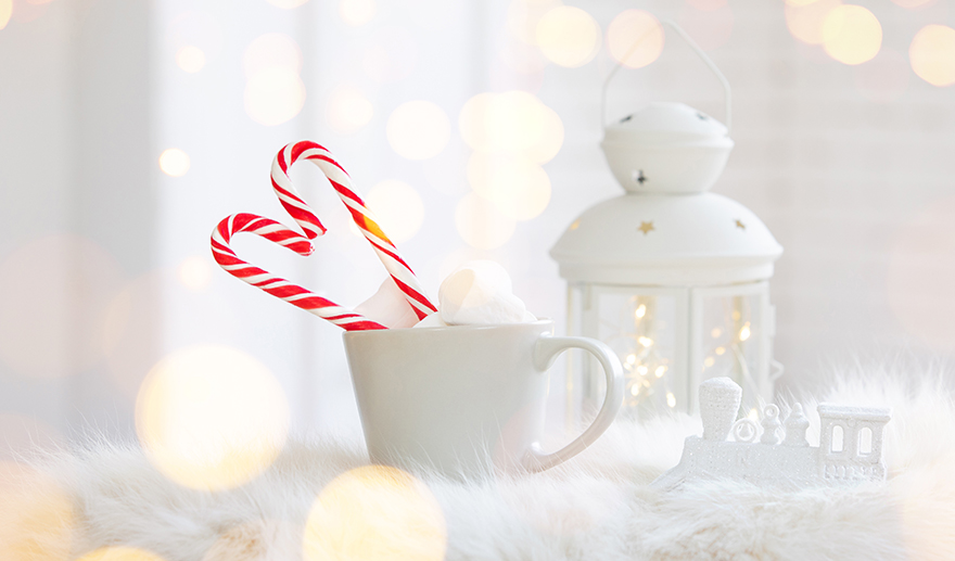 トレコード秋冬新作商品